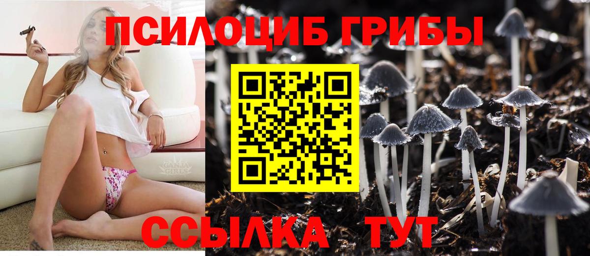 Псилоцибиновые грибы Cubensis Рузаевка